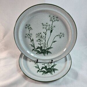 TWO Noritake Mountain Flowers Dinner Plates White with Green Flowers & Trim